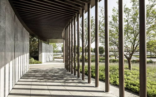 社區有界,美好無限 旭輝景觀2019思考及實踐項目合集