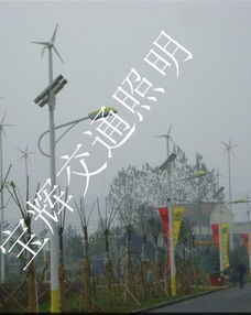 廠家供應(yīng)海南省三亞市8米42w風(fēng)光互補(bǔ)太陽(yáng)能路燈產(chǎn)品圖片高清大圖