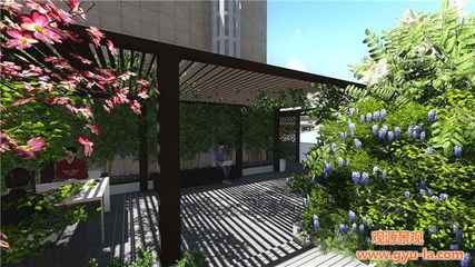 專業(yè)景觀設(shè)計(jì) 陜西觀源景觀工程的藝術(shù)與實(shí)用之道