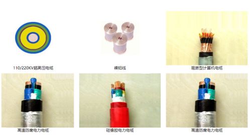 山東智造 綠色創(chuàng)新驚艷全球，環(huán)保產(chǎn)品引領(lǐng)未來市場(chǎng)